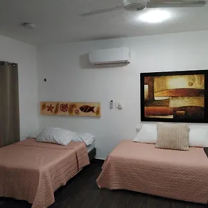 Estudio Zona Centro Cerca De La Terminal Ado Cancún